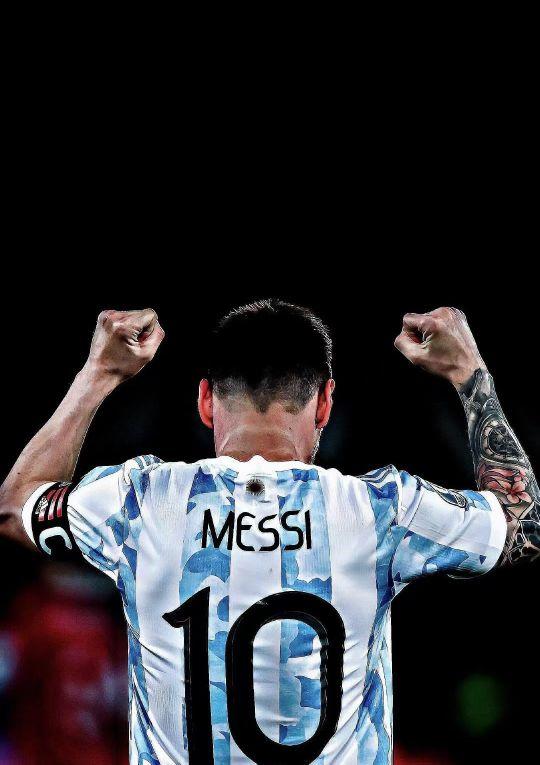 CBA 外援影响力分析（CBA 外援贡献度解析）